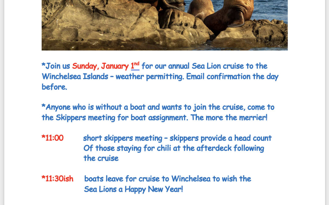 Sea Lion Cruise, 1 January, 2023